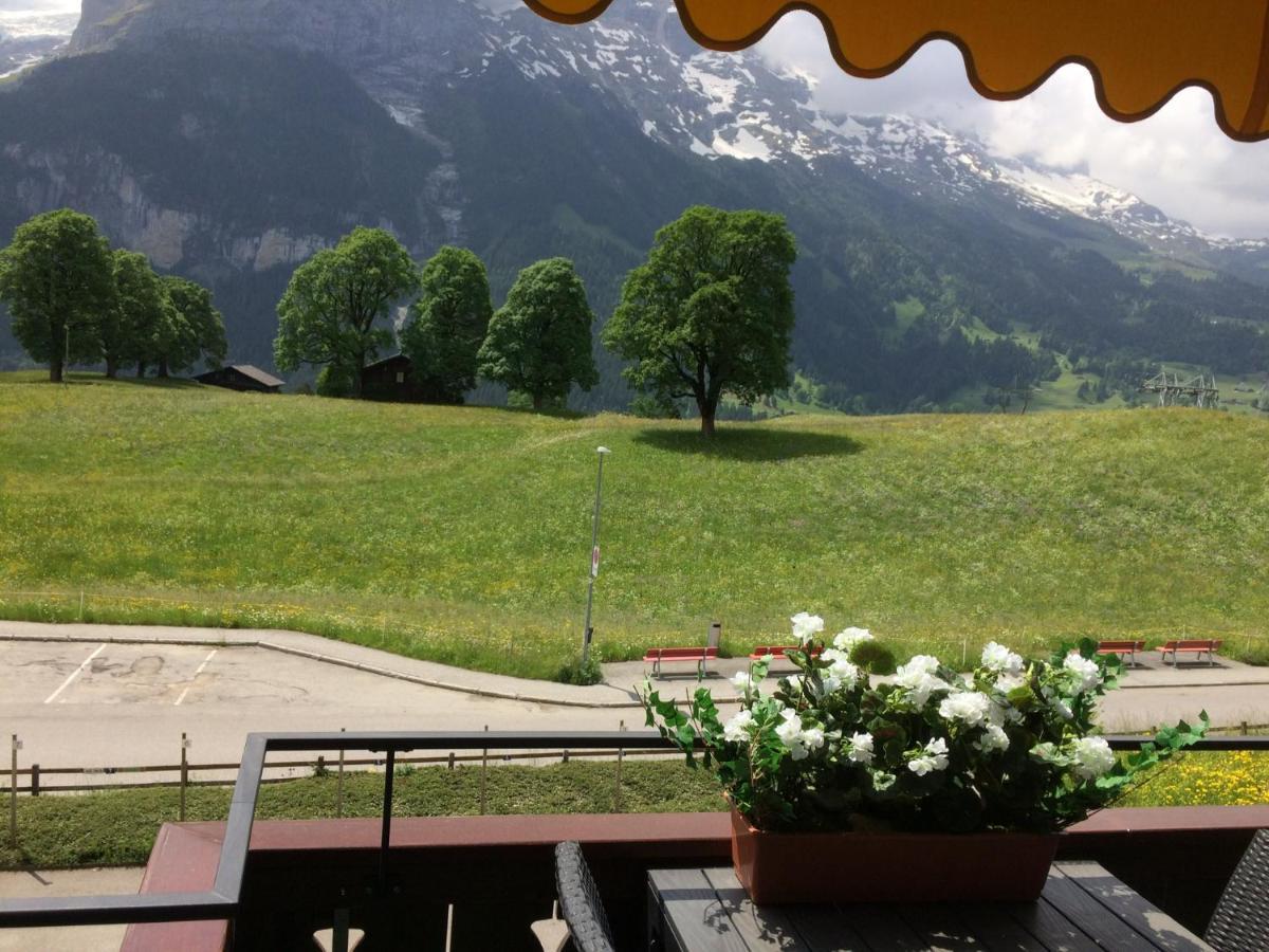 Luxury, New - Amazing Views Grindelwald Eiger Jungfrau Moench Daire Dış mekan fotoğraf