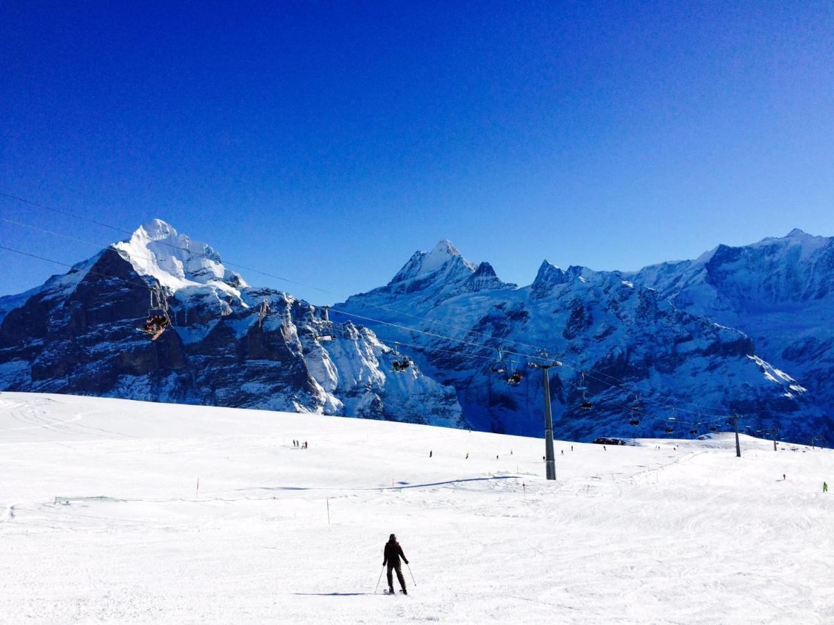 Luxury, New - Amazing Views Grindelwald Eiger Jungfrau Moench Daire Dış mekan fotoğraf