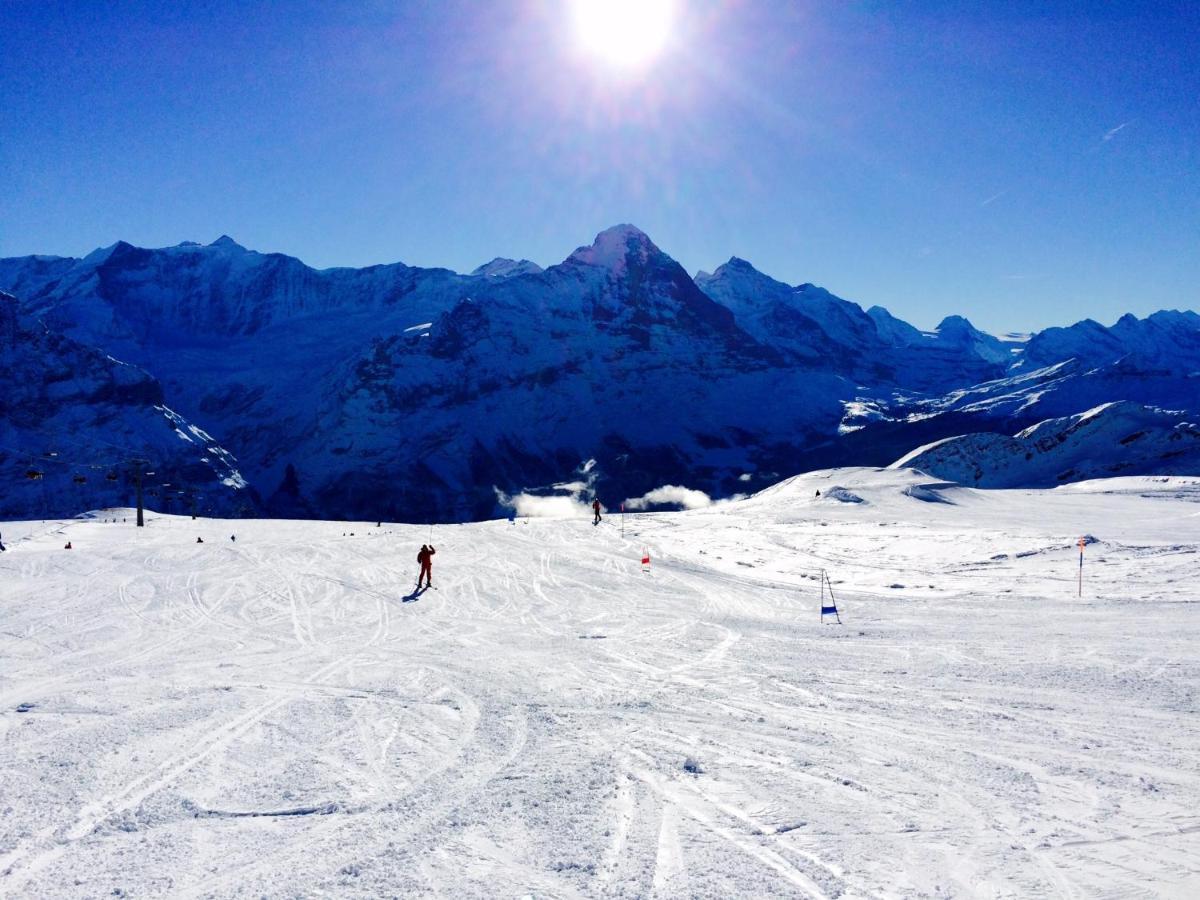 Luxury, New - Amazing Views Grindelwald Eiger Jungfrau Moench Daire Dış mekan fotoğraf