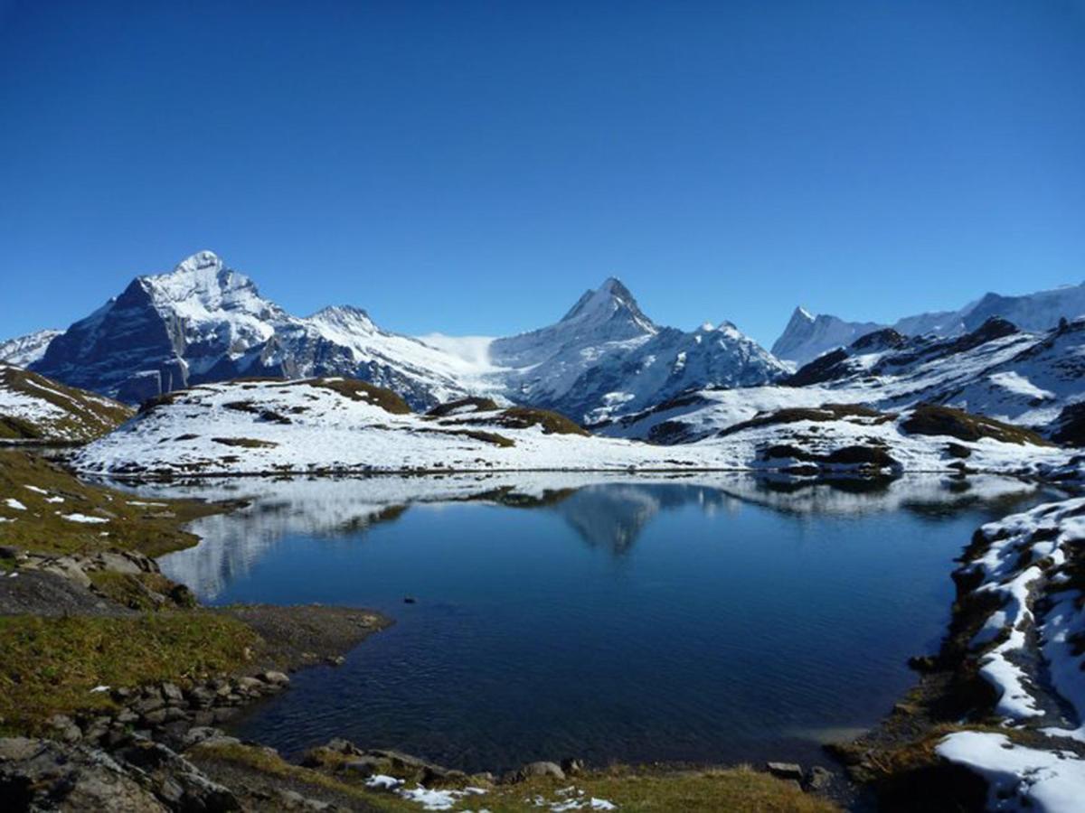 Luxury, New - Amazing Views Grindelwald Eiger Jungfrau Moench Daire Dış mekan fotoğraf